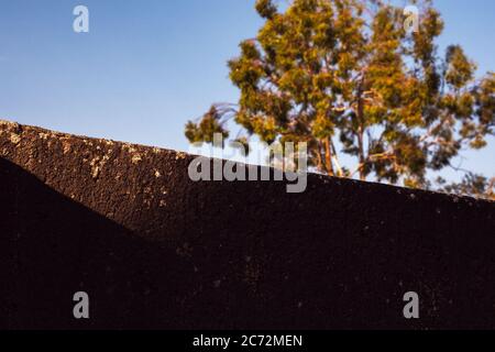 Nahaufnahme eines Steins, Golan Heights Israel. Stockfoto