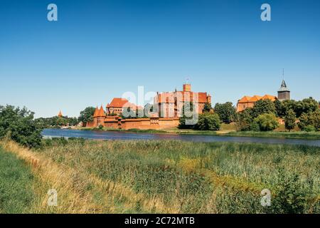 Teutonische Schloß in Malbork oder Marienburg am Sommer, der in Polen Stockfoto