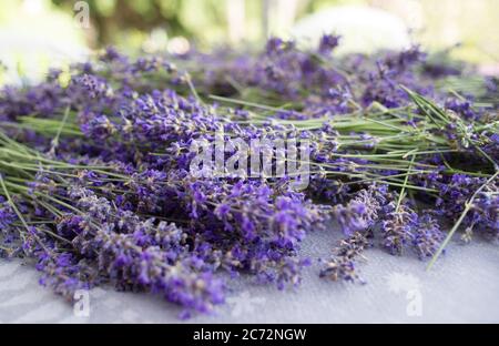 Nahaufnahme von frisch geschnittenem Lavendel auf einer grauen Tischdecke Stockfoto