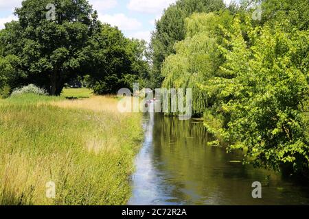 Viersen, Deutschland - 9. Juli. 2020: Blick auf den Fluss Niers in grüner idyllischer Landschaft mit Bäumen und Menschen Paddelkanus auf Bootstour Stockfoto