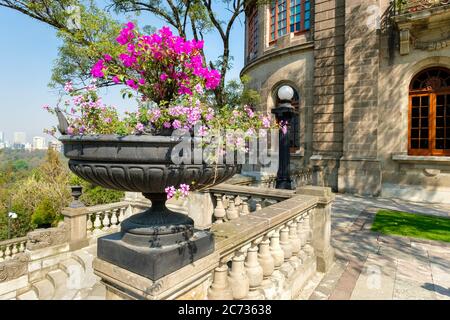 Wunderschöne Gärten im Schloss Chapultepec in Mexiko-Stadt Stockfoto