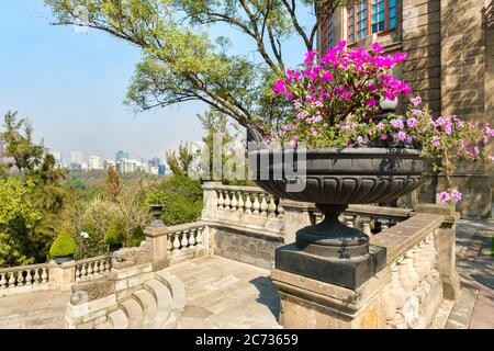 Wunderschöne Gärten im Schloss Chapultepec in Mexiko-Stadt Stockfoto