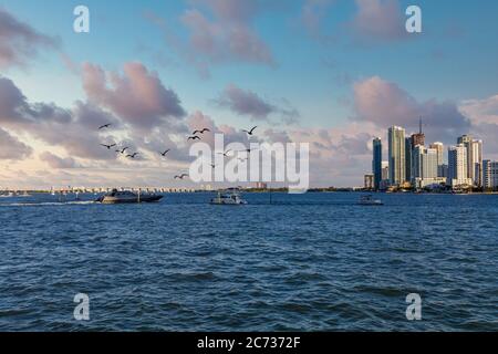 Luxusyachten in Biscayne Bay Stockfoto