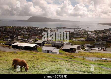 Ein Pferd auf Gras slop mit dem Blick auf Torshavn und Hafen im Hintergrund.Torshavn.Streymoy. Färöer-Inseln.Territorium von Dänemark Stockfoto