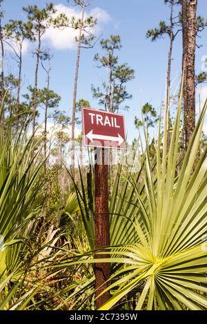 Ein Wegweiser, der einen Wanderweg anzeigt, der von Vegetation im Everglades National Park, South Florida, USA umgeben ist Stockfoto