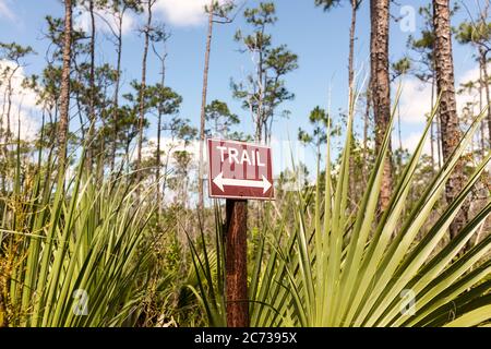Ein Wegweiser, der einen Wanderweg anzeigt, der von Grün im Everglades National Park, South Florida, USA umgeben ist Stockfoto