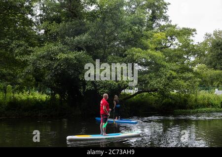 Denham, Großbritannien. Juli 2020. 13 Ein Mann und eine Frau üben Wassersport vor einem alten Erlenbaum am Fluss Colne, der in der Nähe von HS2 Bodenabräumarbeiten bei Denham Ford im Colne Valley liegt. Kredit: Mark Kerrison/Alamy Live Nachrichten Stockfoto