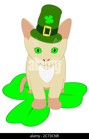 Eine jpeg-Illustration einer St. Patricks Tageskatze mit grünem Hut und einem Kleeblatt. Isoliert. Stockfoto