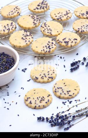 Hausgemachte Lavendel und Zitrone Shortbread Kekse Stockfoto