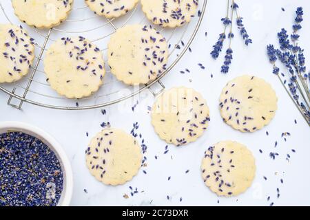 Hausgemachte Lavendel und Zitrone Shortbread Kekse Stockfoto