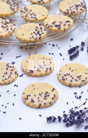 Hausgemachte Lavendel und Zitrone Shortbread Kekse Stockfoto