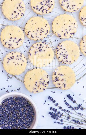 Hausgemachte Lavendel und Zitrone Shortbread Kekse Stockfoto