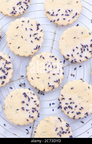 Hausgemachte Lavendel und Zitrone Shortbread Kekse Stockfoto