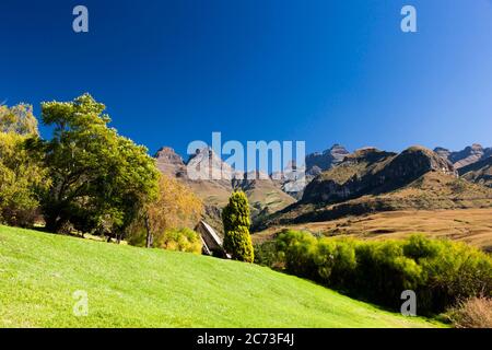 Drakensberg, Cathedral Peak Hotel, Garten und Berge, Giants Castle Game Reserve, Uthukela District, KwaZulu-Natal Province, Südafrika, Afrika Stockfoto