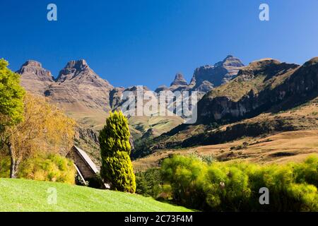 Drakensberg, Cathedral Peak Hotel, Garten und Berge, Giants Castle Game Reserve, Uthukela District, KwaZulu-Natal Province, Südafrika, Afrika Stockfoto