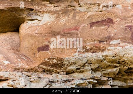 Drakensberg, 'Eland Cave' Felsmalereien, Felskunst, Didima Schlucht, Giants Castle Game Reserve, Uthukela, KwaZulu-Natal, Südafrika, Afrika Stockfoto