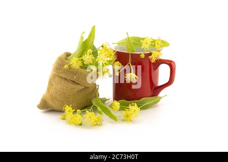 Rote Tasse und kleine hessische Tüte mit frisch gepflückten gelben Lindenblüten und Blättern, auch tilia und Limette genannt, für die Herstellung eines heilenden Tisans oder Tees Stockfoto