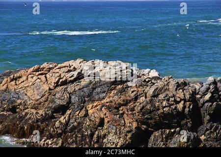 Felsen an der Küste von Vina del Mar, Chile Stockfoto