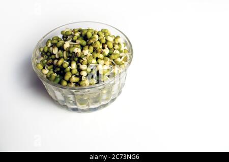 Gesprossene grüne Gramm isoliert mit weißem Hintergrund. Frische, gesunde Mungdal oder Moong Bohnen. Stockfoto