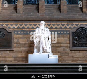 London, Großbritannien. Etwa Dezember 2019. Statue von Charles Darwin, Vater der Theorie der Evolution der Spezies, im Natürlichen Histor Stockfoto