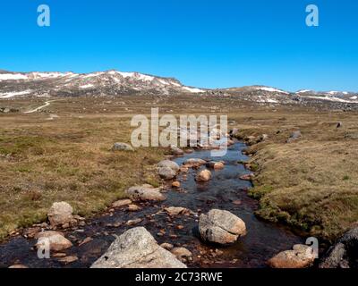 Blick auf den Wanderweg vom Charlottes Pass zum Mount Kosciuszko im Sommer. Der Snowy River. Australien. Stockfoto