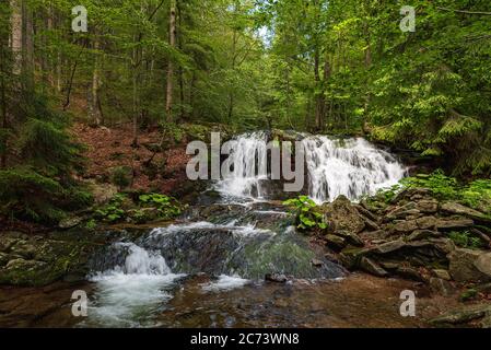 Ponikly Vodopad Wasserfall mit Bäumen in der Nähe von Kouty nad Desnou in Jeseniky Gebirge in der Tschechischen republik Stockfoto