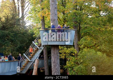 Menschen stehen auf der Suche in Westonburt Arboretum in der Nähe von Tetbury, Gloucestershire, England, Großbritannien.das Foto wurde am 28. Oktober 2016 aufgenommen Stockfoto