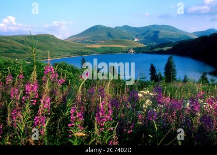 Guery-See, Vulkane-Naturpark Auvergne, Sancy-Massiv, Puy de Dome, Auvergne-Rhone-Alpes, Frankreich Stockfoto