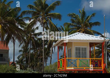 Palmen am Strand auf der Insel San Andres in Kolumbien Stockfoto