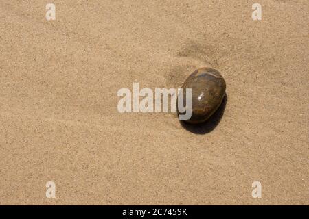 Ein einzelner glatter Strand Kieselsteine vor einem Hintergrund von glattem Wasser gewaschen Sand Stockfoto