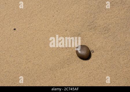 Ein einzelner glatter Strand Kieselsteine vor einem Hintergrund von glattem Wasser gewaschen Sand Stockfoto