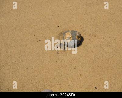 Zwei glatte Strandkiesel vor einem Hintergrund aus flachem, wassergewaschenen Sand Stockfoto