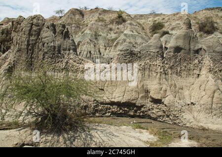 Landschaft in der Tatacoa Wüste Teil Los Hoyos in Kolumbien Stockfoto