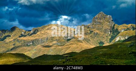 Hügel und Täler Landschaft, El Cajas Nationalpark, Grasland Ökosystem, Ramsar Feuchtgebiet, Highlands, Azuay Provinz, Ecuador, Amerika Stockfoto