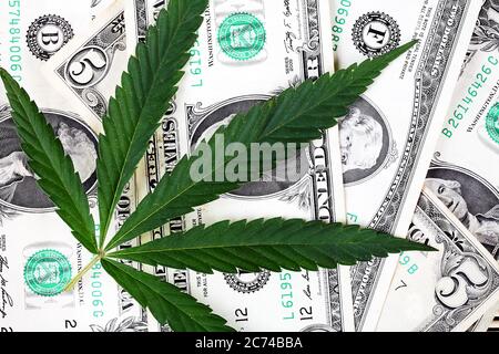 Cannabisblätter auf Dollarscheinen, Draufsicht, Nahaufnahme Stockfoto