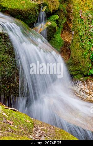 Wasserfall, Bergwald Fußweg, Trek zum Annapurna Basislager, Annapurna Schutzgebiet, Himalaya, Nepal, Asien Stockfoto