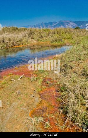 Fluss, Royal Bardia National Park, Bardiya National Park, Nepal, Asien Stockfoto