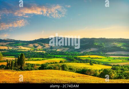 Weizenfeld und blühende Sonnenblumen bei Sonnenuntergang, Sommerlandschaft in der Toskana, Italien Stockfoto