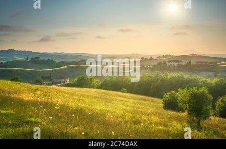 Certaldo canonica Park bei Sonnenuntergang. Sanfte Hügel Landschaft und Zypressen Baumreihe. Florenz, Toskana, Italien Stockfoto
