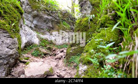 Felsiger Fußweg durch eine enge Schlucht im Wald des Ebbor Gorge National Nature Reserve. Wookey Hole, Wells, Großbritannien Stockfoto