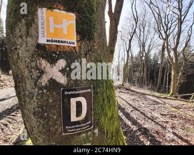 Wanderzeichen auf einem Baumstamm, Sauerland Höhenflug, Historischer Drahtthandelsweg, Deutschland, Nordrhein-Westfalen, Sauerland Stockfoto