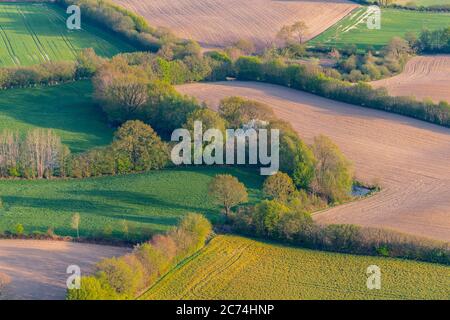 Feldlandschaft mit Hecken im Frühjahr 27.04.2020, Luftaufnahme, Deutschland, Schleswig-Holstein Stockfoto