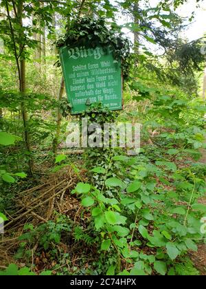 Altes Zeichen im Wald, Menschen, dienen Sie Ihrem Wald, Hunde müssen an der Spur gehalten werden, Deutschland, Nordrhein-Westfalen, Ruhrgebiet, Witten Stockfoto