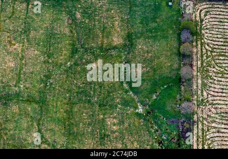 Torfiger Boden wird von schweren Maschinen verdichtet und mineralisiert, wobei große Mengen an Kohlenstoff freigesetzt werden, 04/27/2020, arial view, Deutschland, Schleswig-Holstein Stockfoto