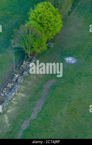 Hecke im Frühjahr, 27.04.2020, Luftaufnahme, Deutschland, Schleswig-Holstein Stockfoto