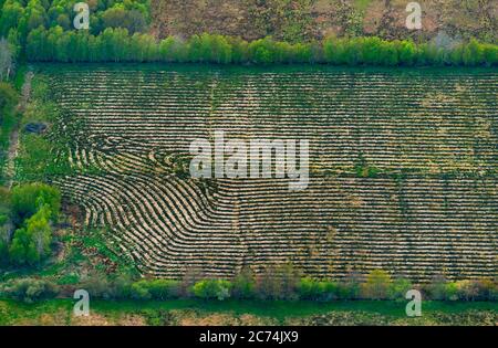 Torfiger Boden wird von schweren Maschinen verdichtet und mineralisiert, wobei große Mengen an Kohlenstoff freigesetzt werden, 04/27/2020, arial view, Deutschland, Schleswig-Holstein Stockfoto