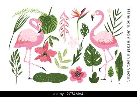 Flamingo Vektor Cartoon Tier Set. Stock Vektor