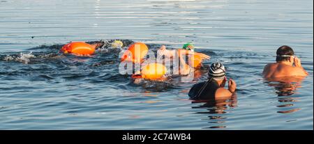 Eine Gruppe von Schwimmern mit orangefarbenen Schwimmern beginnt ein 5K Schwimmen für wohltätige Zwecke im Long Island Sound. Stockfoto