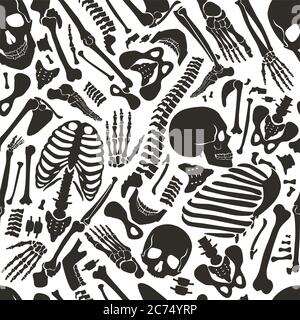 Vektor menschlichen Skelett nahtlose Muster mit Schädeln und anderen verschiedenen einzelnen menschlichen Teilen Knochen Stock Vektor
