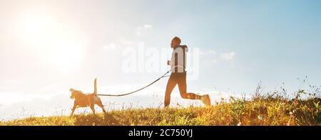 Canicross Übungen. Der Mensch läuft mit seinem Beagle-Hund am sonnigen Morgen Stockfoto